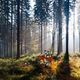 Illustration for article titled Photoshopping Calvin and Hobbes into Real Life Makes Me Really Happy